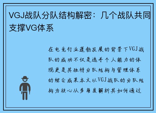 VGJ战队分队结构解密：几个战队共同支撑VG体系